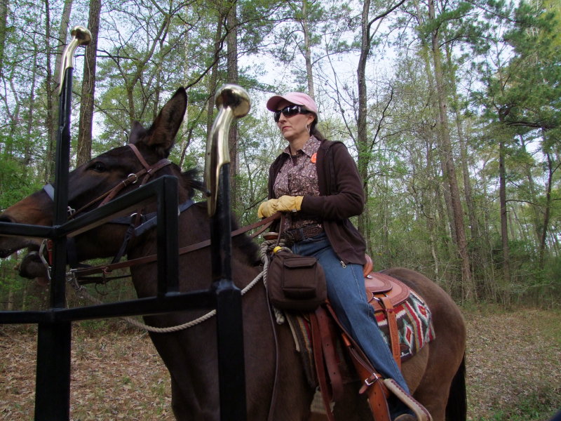 039-Woman on Mule.jpg